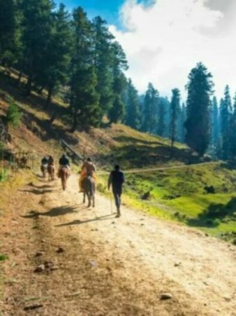 Pahalgam Terror Attack : How the attack happened